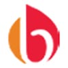 Bluorchid international services logo