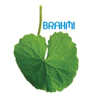 Brahmi Academy Company Logo