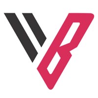 Visabuddy logo