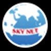 Skynet Placements Company Logo