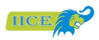 IICE ( Indian International Connect and Education ) Company Logo