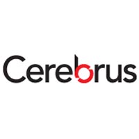Cerebrum Consultant Company Logo