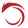 Siddhivinayak Consulting Company Logo