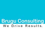 Brugu Business Consulting Private Limited Company Logo