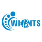 Wibits Web Solutions LLP Company Logo