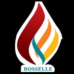 Rosselle Tech Solutions Pvt. Ltd. Company Logo