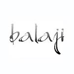 Balaji Springs Pvt Ltd logo