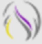 Pushpa Govind Consultants Company Logo