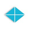 Plus Recruitment Services Company Logo