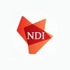 NDI Group logo