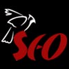 seo birds marketting p ltd. logo