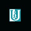 Upman Placements Company Logo