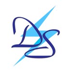 DS Systems Pvt LTd Company Logo