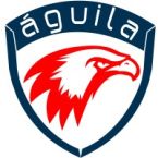 Aguila It Consultant logo