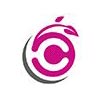 Cormet Solutions Company Logo