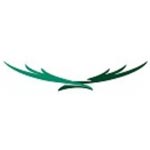 Eagle Hunt Company Logo