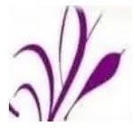 Spa massage canter logo