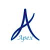 APEX BUSINESS SUPPORT SERVICES logo