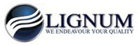 Lignum Consultancy Services Company Logo