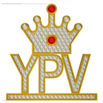 Youth power vision marketing pvt Ltd logo