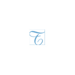 TransPerfect Company Logo