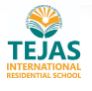 Tejas International Educational Institutions logo