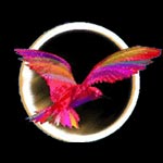 Phoenix GRS logo