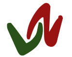 VLN Informatics Workforce Services logo