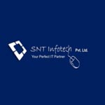 SNT Infotech Pvt Ltd logo