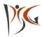 Perfact Solution Group Company Logo