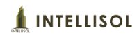 Intellisol Intgrated Services Pvt Ltd Company Logo