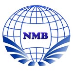 NMB SOLUTION pvt ltd logo