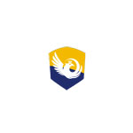 DigiExperts Company Logo