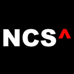 Nenosystems Consulting Services Pvt. Ltd. Company Logo