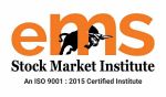 eMS Stock Market Institute logo