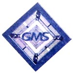 Global Marketing Services Company Logo