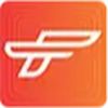 Ferromag Technologies Pvt Ltd Company Logo