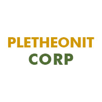 PletheonIT Corp Logo
