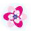 Dhruveni Microsolutions logo