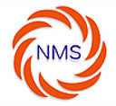 NMS Consultant logo