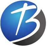 BT consultancy Company Logo