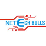 netechbulls logo