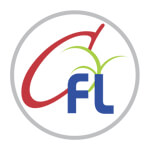CHINTAMANI FINLEASE LIMITED Company Logo