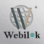 Webilok IT Services Company Logo