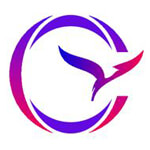 Career Bridge Group Company Logo
