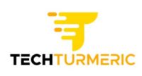 Tech Turmeric IT Services Company Logo