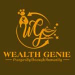 Wealth Genie Nidhi Ltd. logo