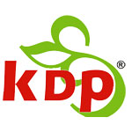 KDP Infrastructure Private Limited logo